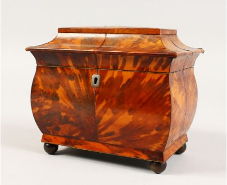 A REGENCY TORTOISESHELL TWO-DIVISION TEA CADDY, on ball feet. 17cms.