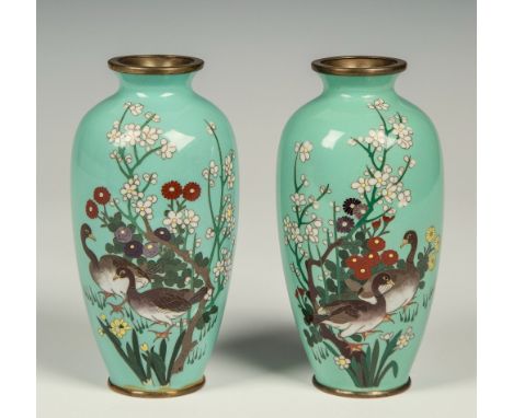 A pair of Japanese cloisonn&eacute; light green ground vases Meiji period, of ovoid form with fine silver wire decoration of 