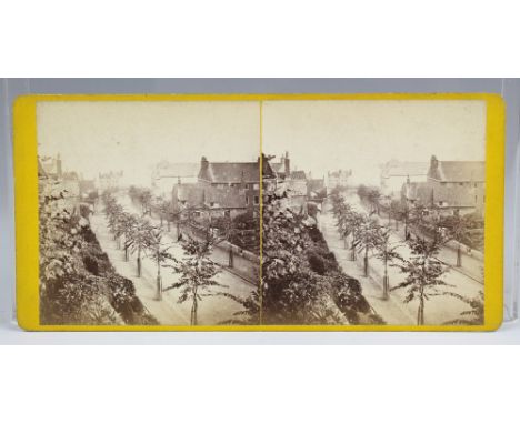 A rare Guernsey stereoview card by T. B. Hutton an elevated view looking down upon St Julian's Avenue, St Peter Port, a line 