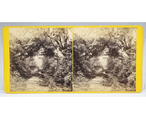 A Guernsey stereoview card by T. B. Hutton depicting a water lane near Moulin Huet, the path heavily strewn with various flor