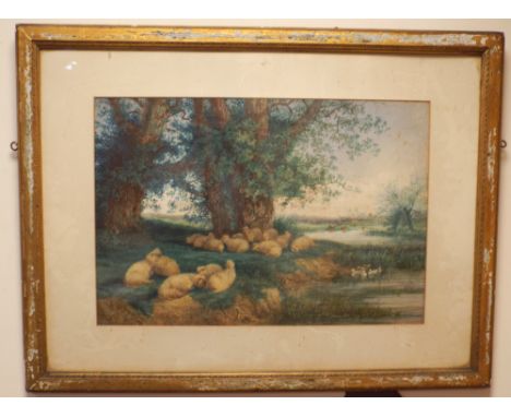 A watercolour of sheep by river scene signed R S Mott 1874 approx 38cmsx56cms