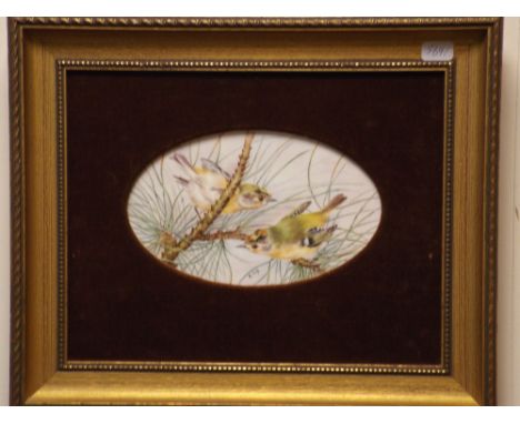 An oval framed porcelain panel of Goldcrests signed B Cox approx 11cms x 19cms