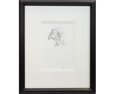 * PETER HOWSON OBE (SCOTTISH b 1958), DON QUIXOTE ink on paper, signed and dated 2005 28cm x 19cm Mounted, framed and under g