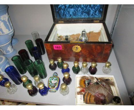A Victorian walnut box containing various scent bottles, clear, blue, green and amber scent bottles with gilt brass caps, a C