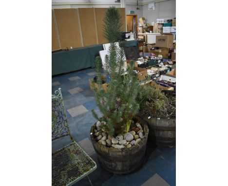 A Coopered Barrel Planter on Caster Stand 