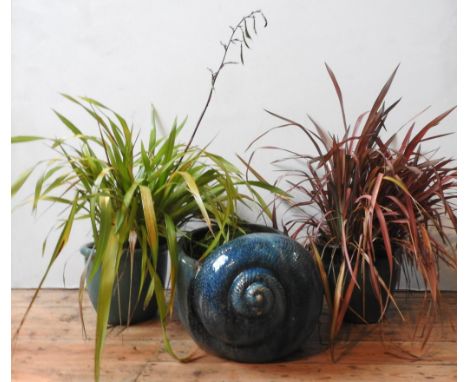 A TURQUOISE GLAZED SNAIL SHAPED GARDEN PLANTER AND TWO OTHERS, also turquoise glazed, planted with Phormium and other plants