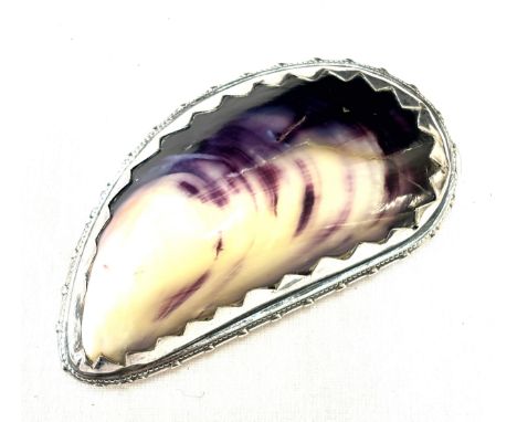 Georgian mussel shell snuff box with unmarked silver fittings