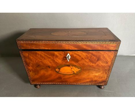 A heavily inlaid tea caddy on bun feet, the hinged lid opening to three lidded tea compartments 