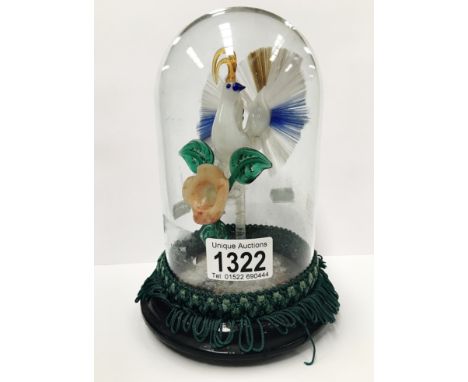 A fine 19th century glass model of an exotic bird under glass dome