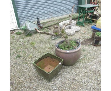 Large salt-glazed garden planter approx. W22" H17" with bonsai tree, large terracotta painted garden planter W17" H17" (2) 