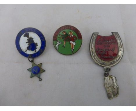 An unusual enamel badge with pendant - I am a Cococub, also a Clarks Lucky-two-shoe Club part enamel badge with pendant and a