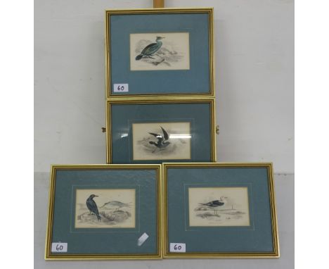 Matching Set of 4 gilt framed lithograph plates – fowl and sea birds, each 11” wide