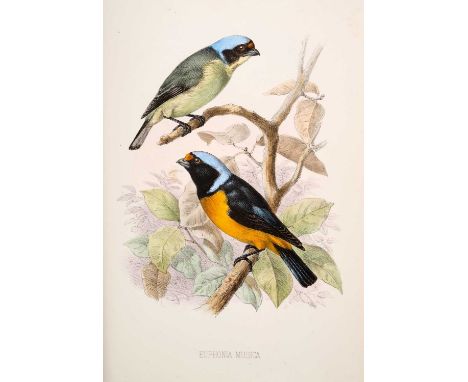 Charles B. Cory - The Birds of Haiti and San Domingo, first edition, one of 300 copies, 22 hand-coloured lithograph plates, 1