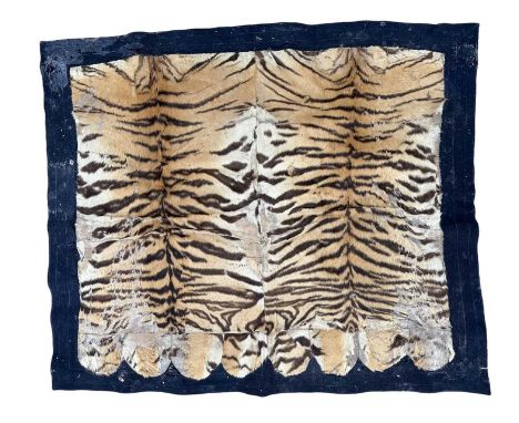 Early 20th century P. Spicer & Sons tiger skin rug, named to underside of the backing, 145cm x 122cm, together with another L