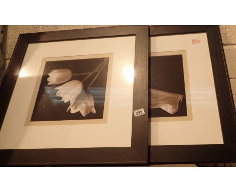 Pair of framed and glazed flower prints