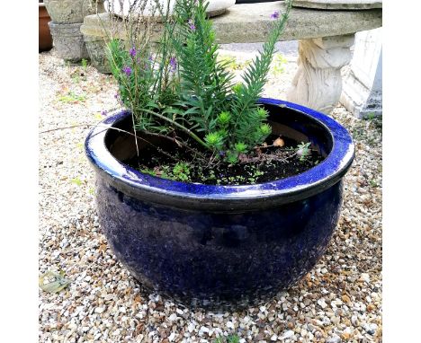 large blue glazed planter with plants - 51cm diameter
