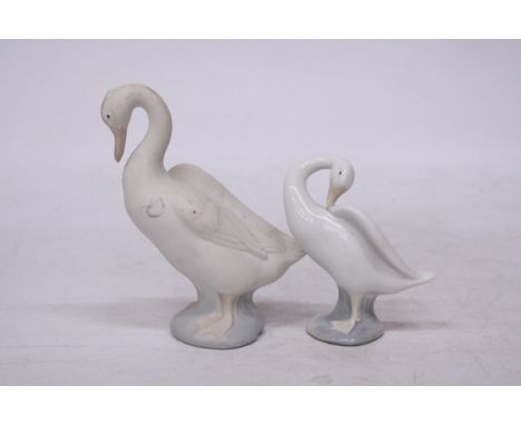 A LLADRO FIGURE OF A GOOSE IN A GLOSS FINISH TOGETHER WITH A LARGE NAO FIGURE OF A GOOSE IN A MATT FINISH