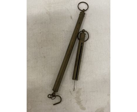 TWO VINTAGE BRASS GOLD SCALES TO INCLUDE A 'SALTER' AND A 'TROY' OUNCE AND GRAMS