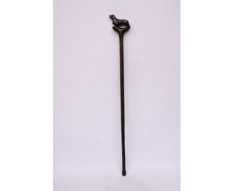 A VINTAGE WOODEN WALKING STICK WITH A MINIATURE SCHNAUZER HANDLE