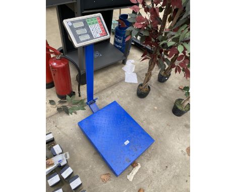 A SET OF DIGITAL PLATFORM SCALES (NO POWER CABLE)