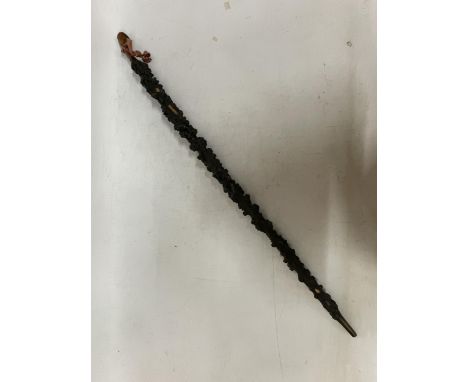 AN UNUSUAL TREE BARK WALKING STICK