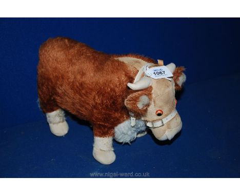 An old Merrythought Hereford Bull