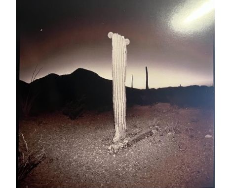 "Richard Misrach is an American photographer known for his large-format color photographs of the American West and other land