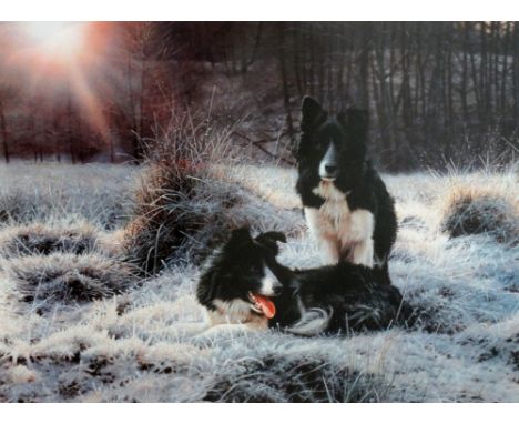 STEVEN TOWNSEND (B.1955) Three limited edition prints Early Light, A Pair Of Sheep Dogs Sitting In The Frost 364/650 Signed i