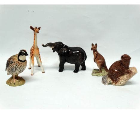 Beswick animals - An elephant with raised head and trunk, a giraffe, a kangaroo No.2312, a beaver No.2195 and a bobwhite quai