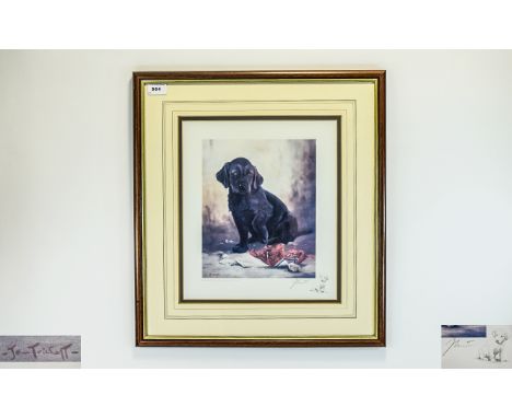 John Trickett Ltd and Numbered Edition Pencil Signed Colour Lithograph - Titled ' Black Labrador ' Number 450, Mounted and Fr