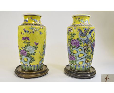 Chinese Fine Pair of Painted Enamel  ' Famille Verte ' Coloured Enamel Vases, Raised on Circular Wooden Stands, Decorated wit