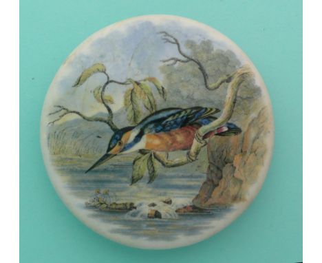 The Kingfisher (296) broken and two and well restored.(potlid, pot lid, Prattware, Staffordshire).