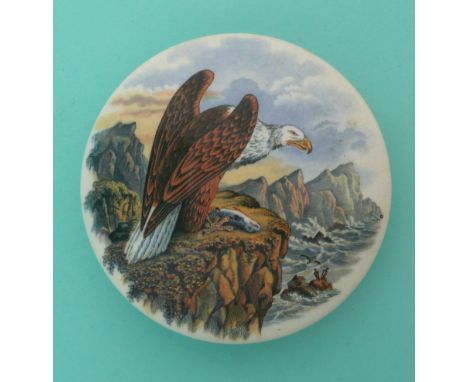 The Sea Eagle (289).(potlid, pot lid, Prattware, Staffordshire).