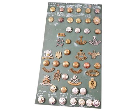 A collection of cap badges, shoulder titles, and buttons, including The Seaforth Highlanders, The Australian Commonwealth, Ne