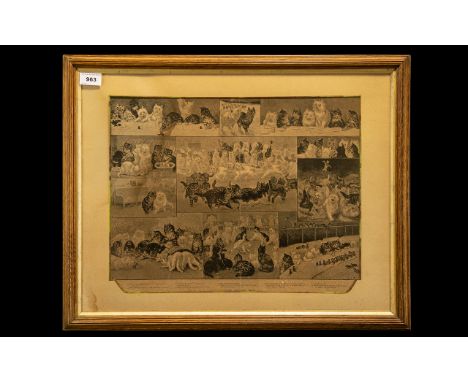 Louis Wain Kitten Print Picture mounted and framed behind glass.  Measures 24" x 20" approx, including frame. Louis Wain was 