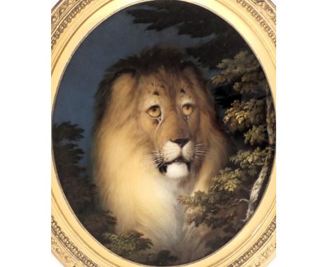 19thC School. Head and shoulder portrait of an ageing lion, oil reverse painted on glass, 31cm x 26cm oval, in Victorian gilt