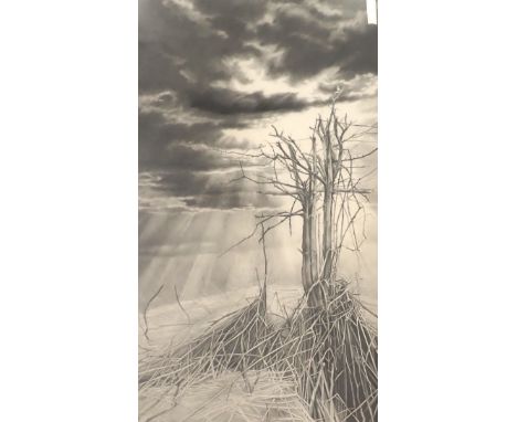 Susan J. Jameson (b.1944). The Tree (No. 25), pencil drawing, signed, dated 1979, titled verso, 107.5cm x 62cm with Poers Fee