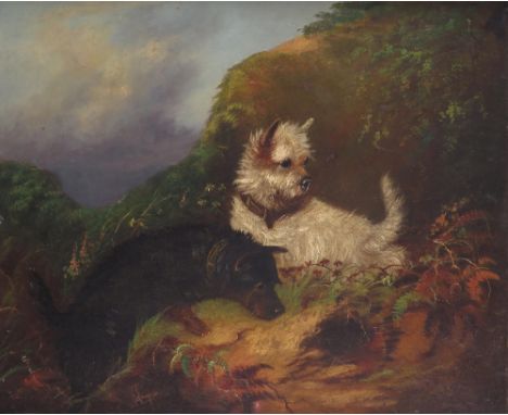 J. Langlois (1855-1904)Two Terriers rabbitingSignedOil on canvas51 x 61cm, 20 x 24in++Unlined, 2 repairs upper left with a pa