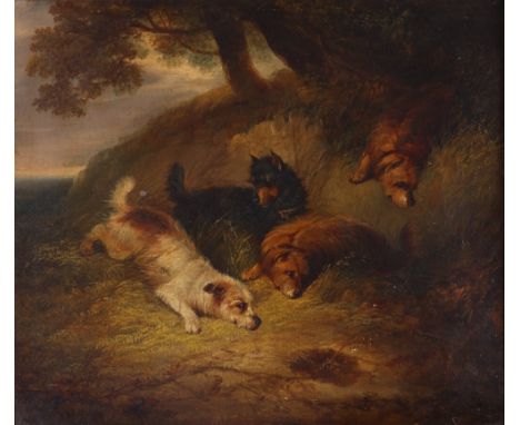 George Armfield (1808-1893)Waiting patientlyOil on board34 x 38cm; 13¼ x 15cm++board slightly bowed, a little rubbing and one