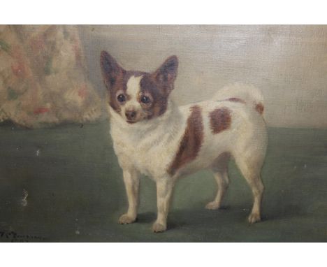 Frances C. Fairman, oil on canvas, portrait of a dog before a floral curtain, signed F.C. Fairman and dated 1907, 17.5ins x 2