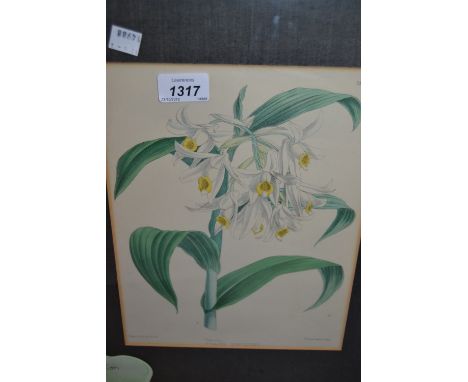 Framed set of five 19th Century botanical prints, together with two colour prints after Russell Flint