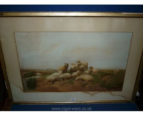 A large framed Lithograph depicting a flock of sheep by side of stream, signed lower right T. Sidney Cooper, dated 1872