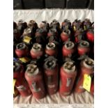 Fire Extinguisher, Qty. 16