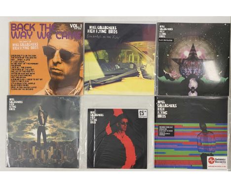 NOEL GALLAGHER - STOCK COPIES - LP / 12" COLLECTION. A collection of 15 x LPs/ 12". Titles include Noel Gallagher's High Flyi
