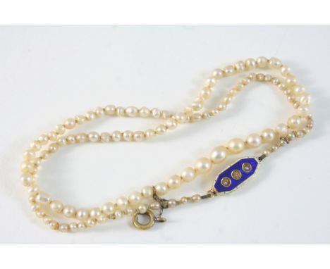 A SINGLE ROW GRADUATED PEARL NECKLACE the one hundred and fifteen pearls graduate from 2.0mm. to 4.5mm., to a gold clasp set 