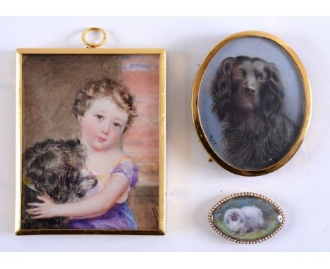 A MINIATURE PORTRAIT of a Pekinese dog on ivory, set in an 18th century oval frame with pearl border; 2.25 x 3.75 cms,  portr