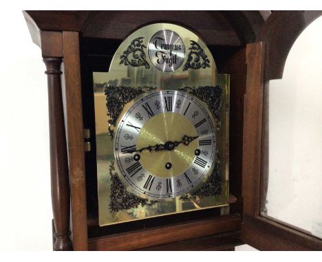 20TH CENTURY MAHOGANY TEMPUS FUGIT LONGCASE CLOCK,149cm high x 33cm long x 19.8cm depth, complete with pendulum