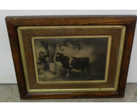 Mid-19thC lithograph – 10”w x 7”h, farmer with cows, in an oak frame