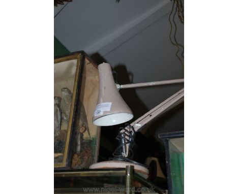 A vintage angle poise Lamp