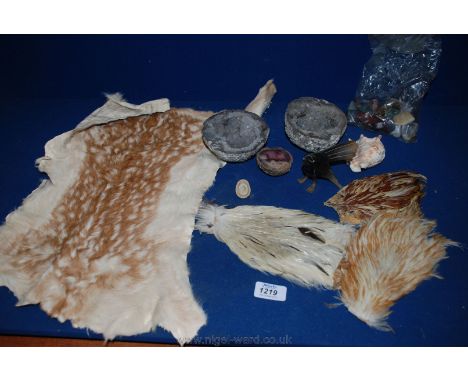 A quantity of rocks and minerals including a shell and a bird carved from horn together with small cat pelt, four feather win